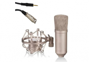 MICROFONO A CONDENSATORE CARDIOIDE DIAFRAMMA LARGO