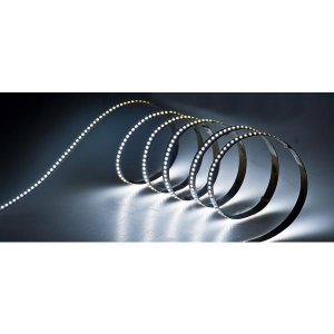 STRISCIA LED 5MT  DA INTERNO IP20 24VDC 19,2W/m 1680lm/m 240LED/M 2835 6500K BIANCO FREDDO 10mm