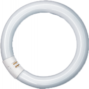 CIRCOLINA 22W 1200LM T9 4000K TRIFOSFORO G10q 4 PIN RADIUM