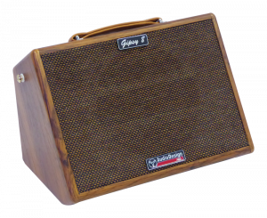AUDIODESIGN GIPSY 8 MKII AMPLIFICATORE PER CHITARRA E VOCE  8" A BATTERIA AUX USB BT