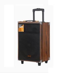 CASSA ATTIVA 12" RICARICABILE IN LEGNO 60W RMS BT FM AUX MIC IN REC USB MEM CARD MICROFONO 220VAC