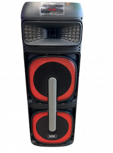 CASSA ATTIVA 2x12" RICARICABILE RGB BLUETOOTH FM AUX MIC IN USB MICRO SD 2 MICROFONI TELECOMANDO