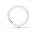 MINI LAMPADINA CIRCOLARE T4 12W