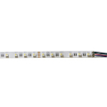 STRISCIA LED 5MT DA INTERNO IP20 24VDC 19,2W/m 1300lm/m 60LED/M 5050 RGBW 10mm