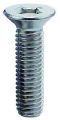 VITE A BRUGOLA M3 TESTA PIATTA LUNGHEZZA 8mm