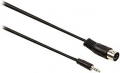 Cavo audio maschio DIN  5 pin - Maschio da 3,5mm 2m Nero